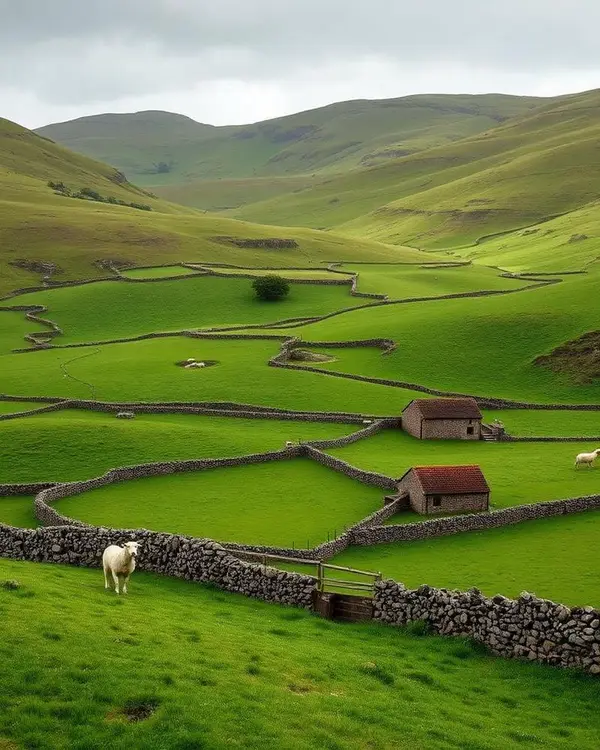 Rolling Yorkshire Dales valley with dry stone walls and barns